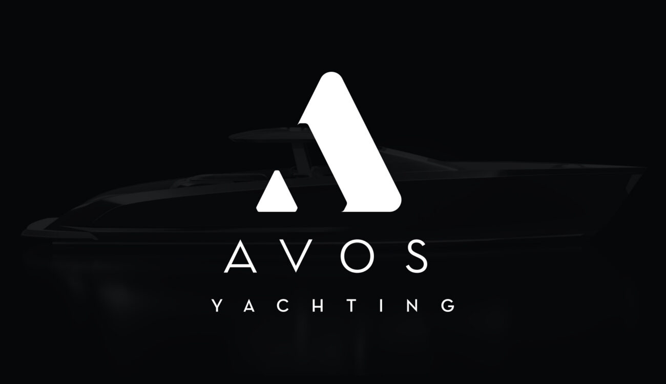SDC_Avos_1
